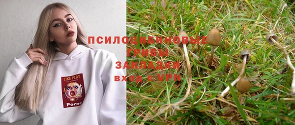 мет Корсаков