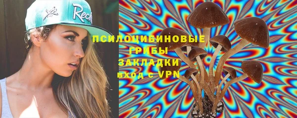 гидра Коряжма