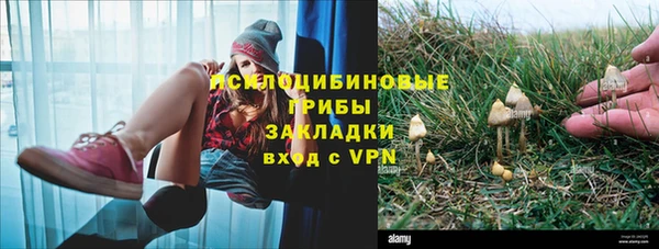 гидра Коряжма