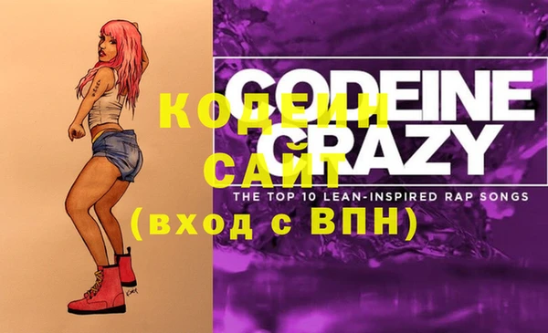 мет Корсаков